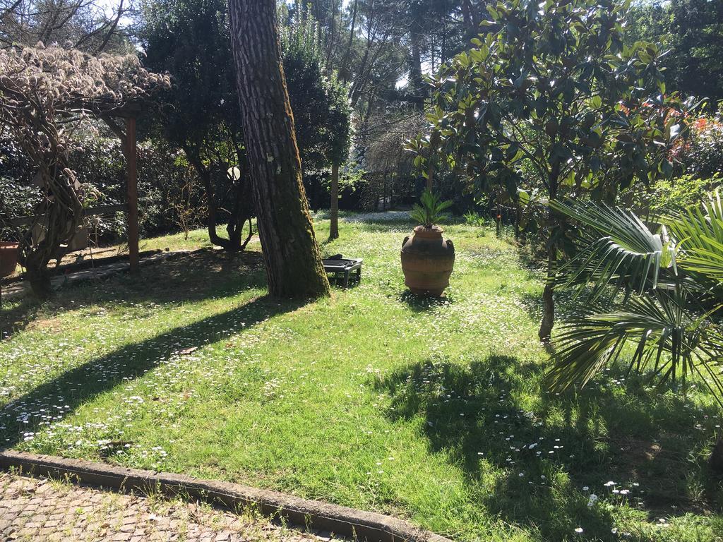 Old Town In The Green: Federico's Apartment. Florenz